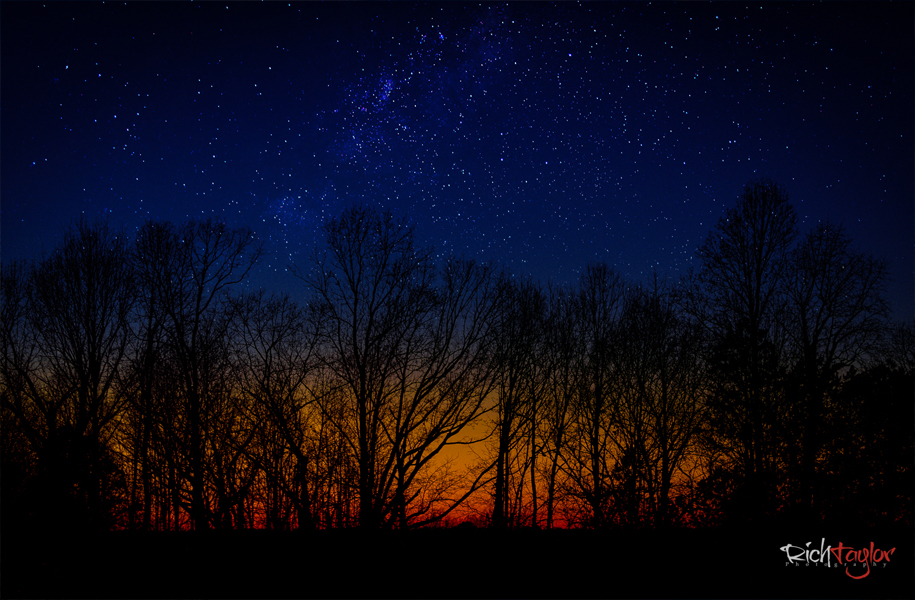 Rich Taylor Photography