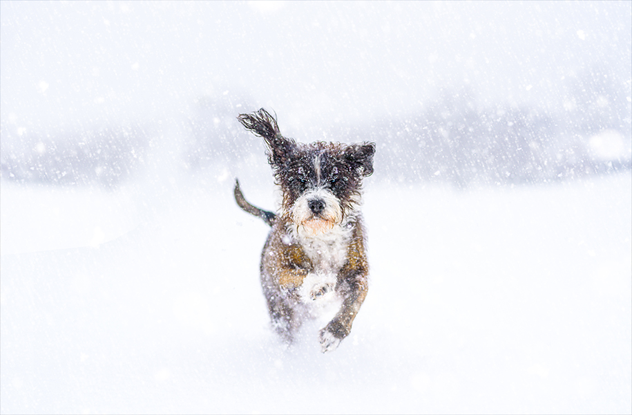 Rich Taylor Photography